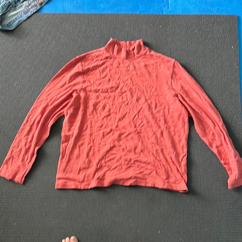 Burnt Orange Turtleneck